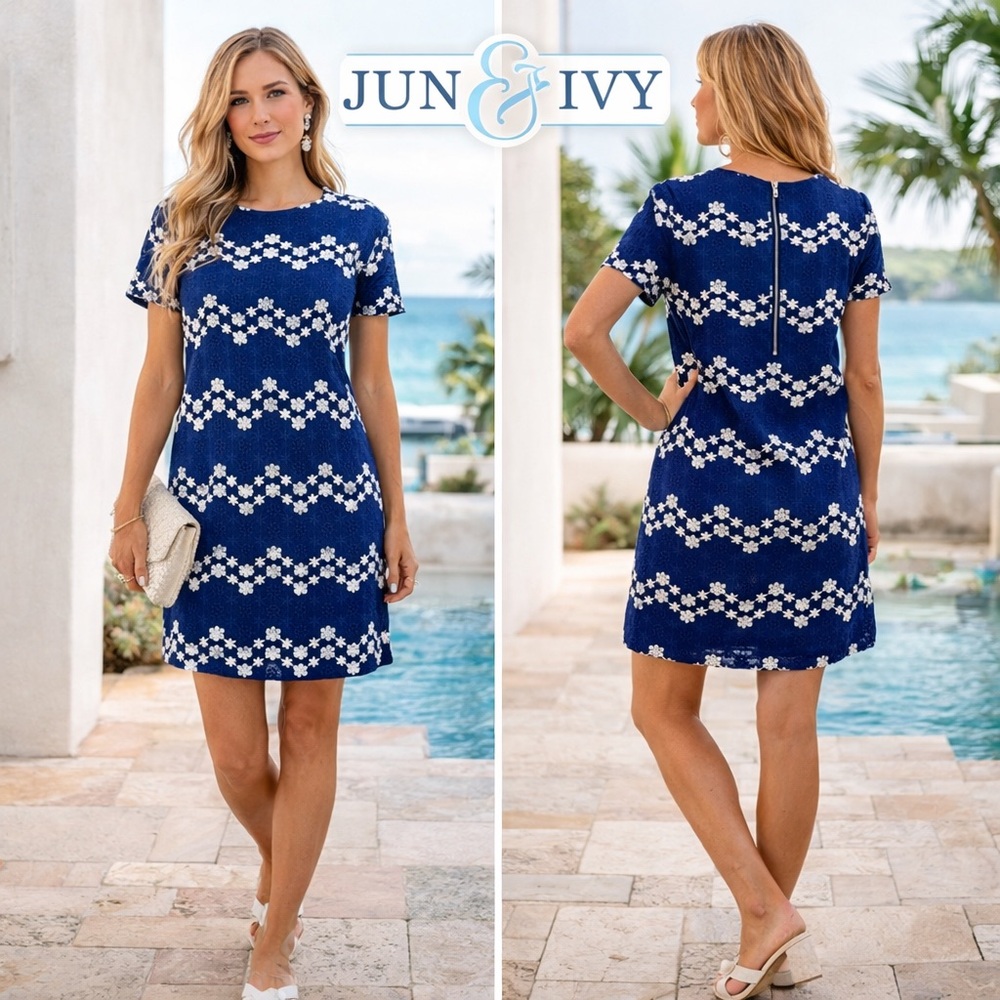 NWT,Francesca’s June & Ivy,Fantastic Dress,Any Occasion,Lined,Timeless,Size L